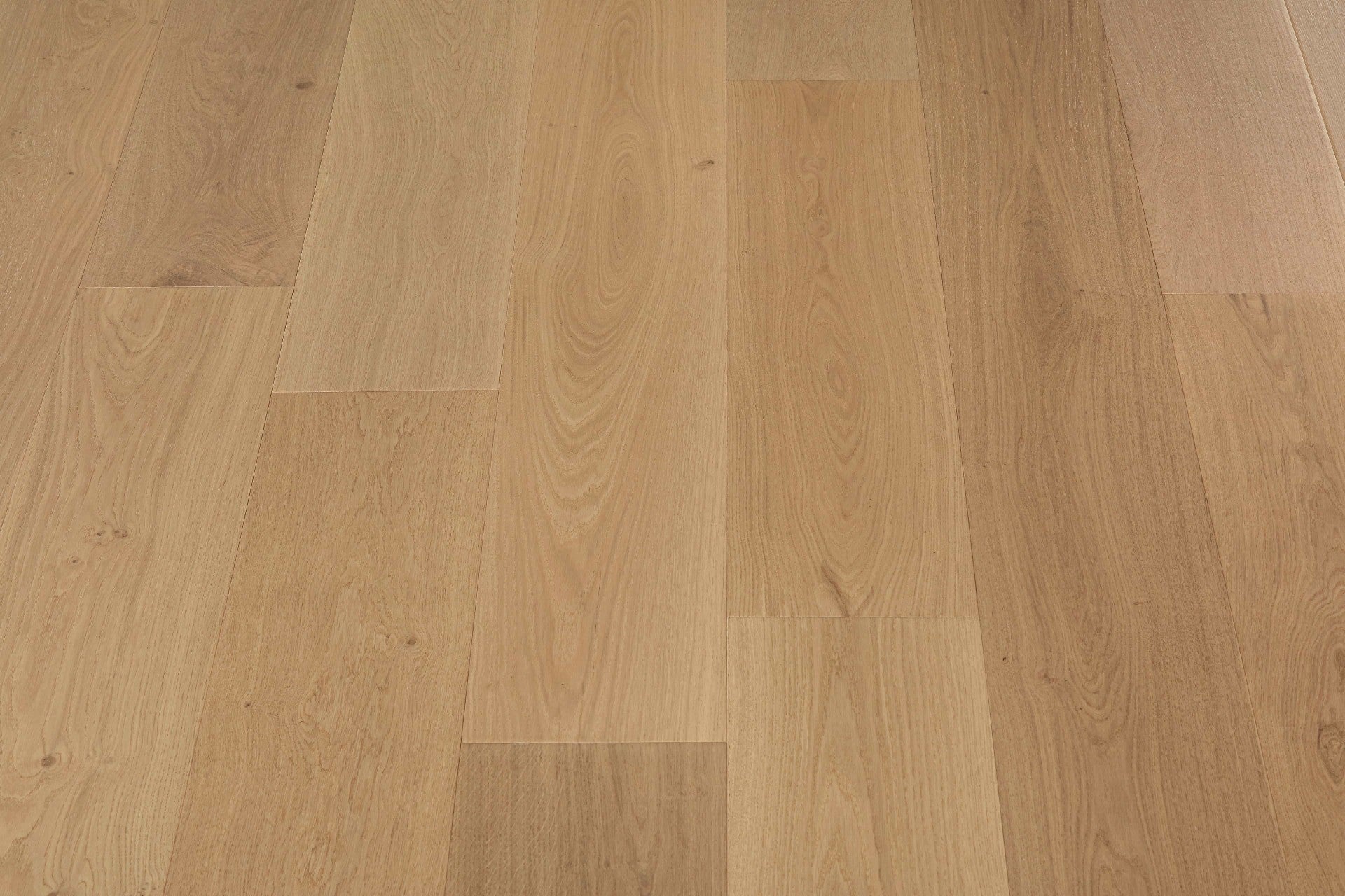 Nova-Plus(304)-PRO3-Plus