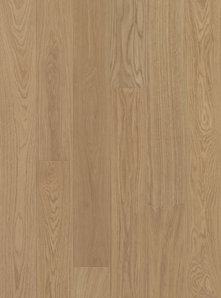 GCC08 Gold Coast - Pacifica