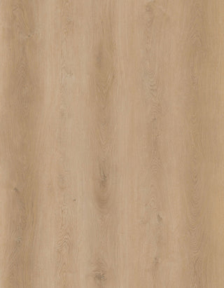 The Indoor Delight Collection - Forest Timber - Waterproof Luxury Vinyl Flooring