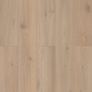 Lone Star Spirit XL Sea Shell flooring