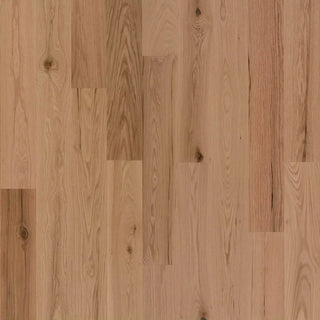 Westwood Classics - Bow Valley Oak Solid Hardwood Flooring (20 Sq Ft/Box)