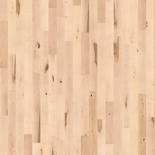 Westwood Classics - Natural Maple Maple Solid Hardwood Flooring (20 Sq Ft/Box)