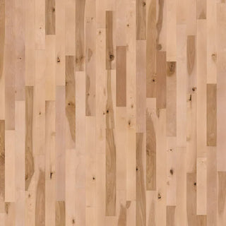 Westwood Classics - Radiance Birch Solid Hardwood Flooring (18 Sq Ft/Box)