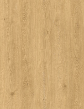 Lions Floors Bambino Collection - Voda Flooring 